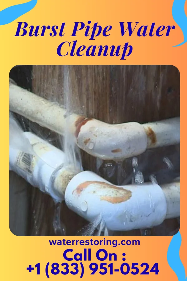 Burst Pipe Water Cleanup in Lu Verne, IA